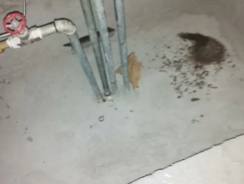 范县卫生间测漏水价格明细