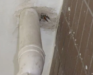 范县漏水检测哪家好